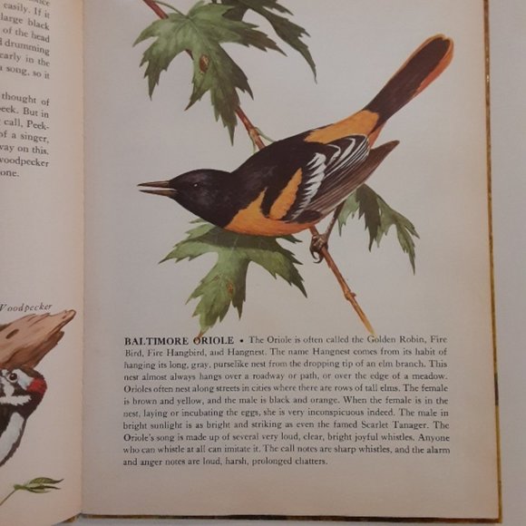 THE BOOK OF SONGBIRDS w/ 78 rpm record of bird songs - Picture 4 of 10